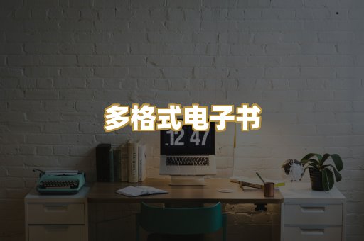 多格式电子书